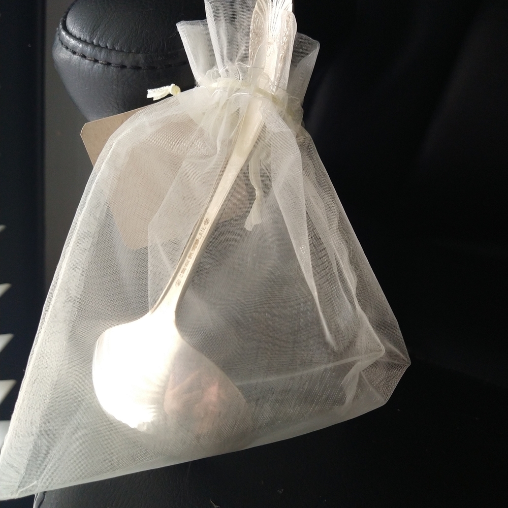 Elegant Silver Spoon with Sheer Bag Awesome Sauce 🫙